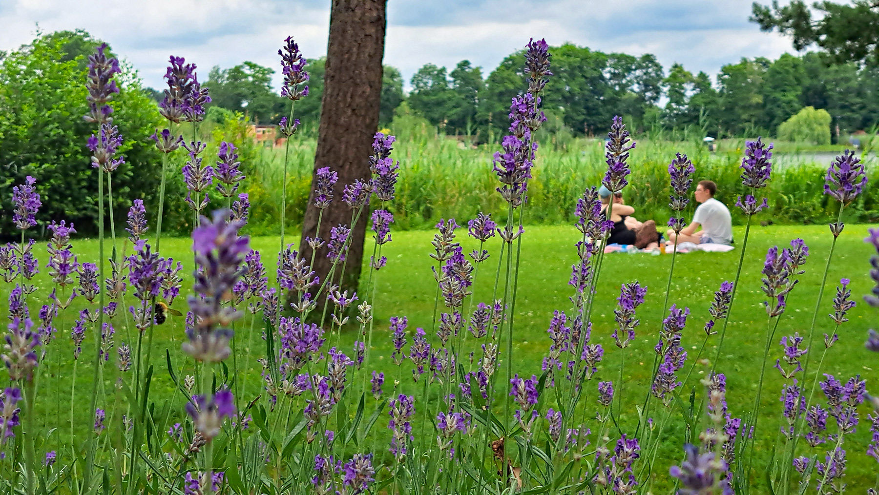 Haus am See in Ottersberg
